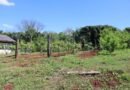 Produtores rurais têm menos de uma semana para entrega da declaração do Imposto Territorial Rural