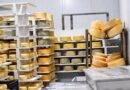 Produção de leite cresce no RS, mas importações pressionam pequenas indústrias