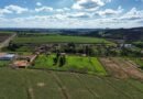 Crédito rural encolhe 26% em um ano e acende alerta para safra, câmbio e preço dos alimentos