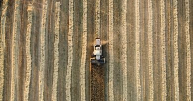 Inflação dos Custos de Produção tem alta de 5,56% em agosto
