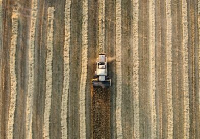 Inflação dos Custos de Produção tem alta de 5,56% em agosto